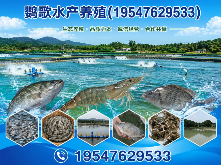 温江区鹦歌水产养殖展示图